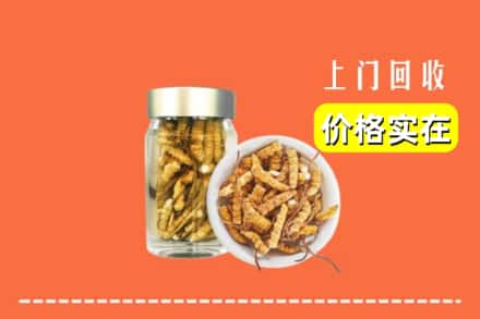 阜阳阜南县回收散虫草