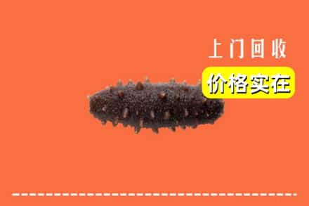 阜阳阜南县回收海参