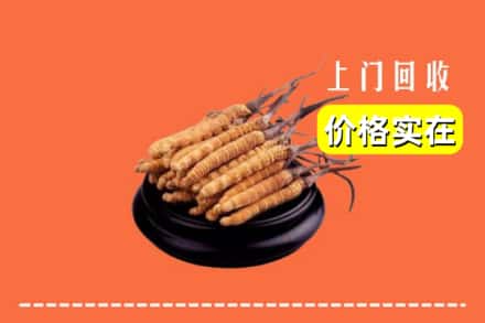 阜阳阜南县回收冬虫夏草