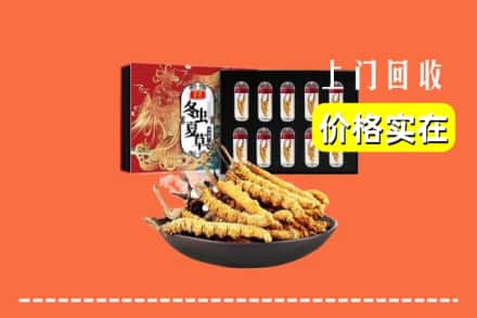 阜阳阜南县回收虫草